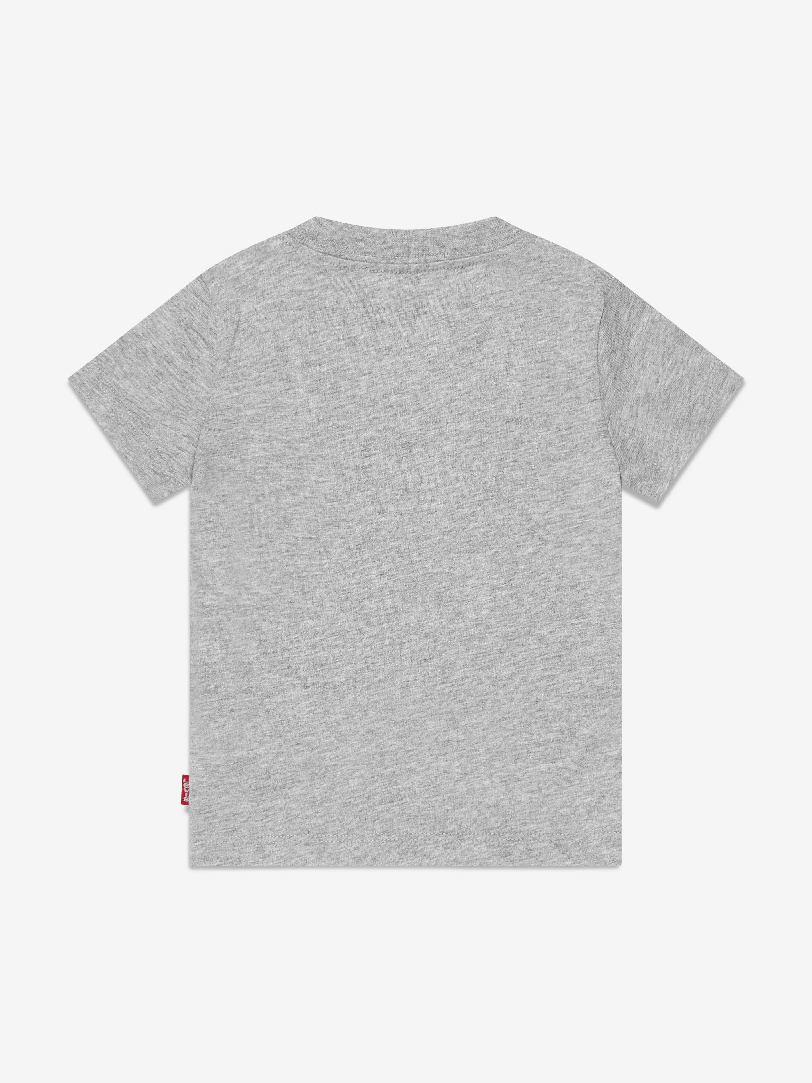 Levi's Baby Boys Batwing T-Shirt in Grey