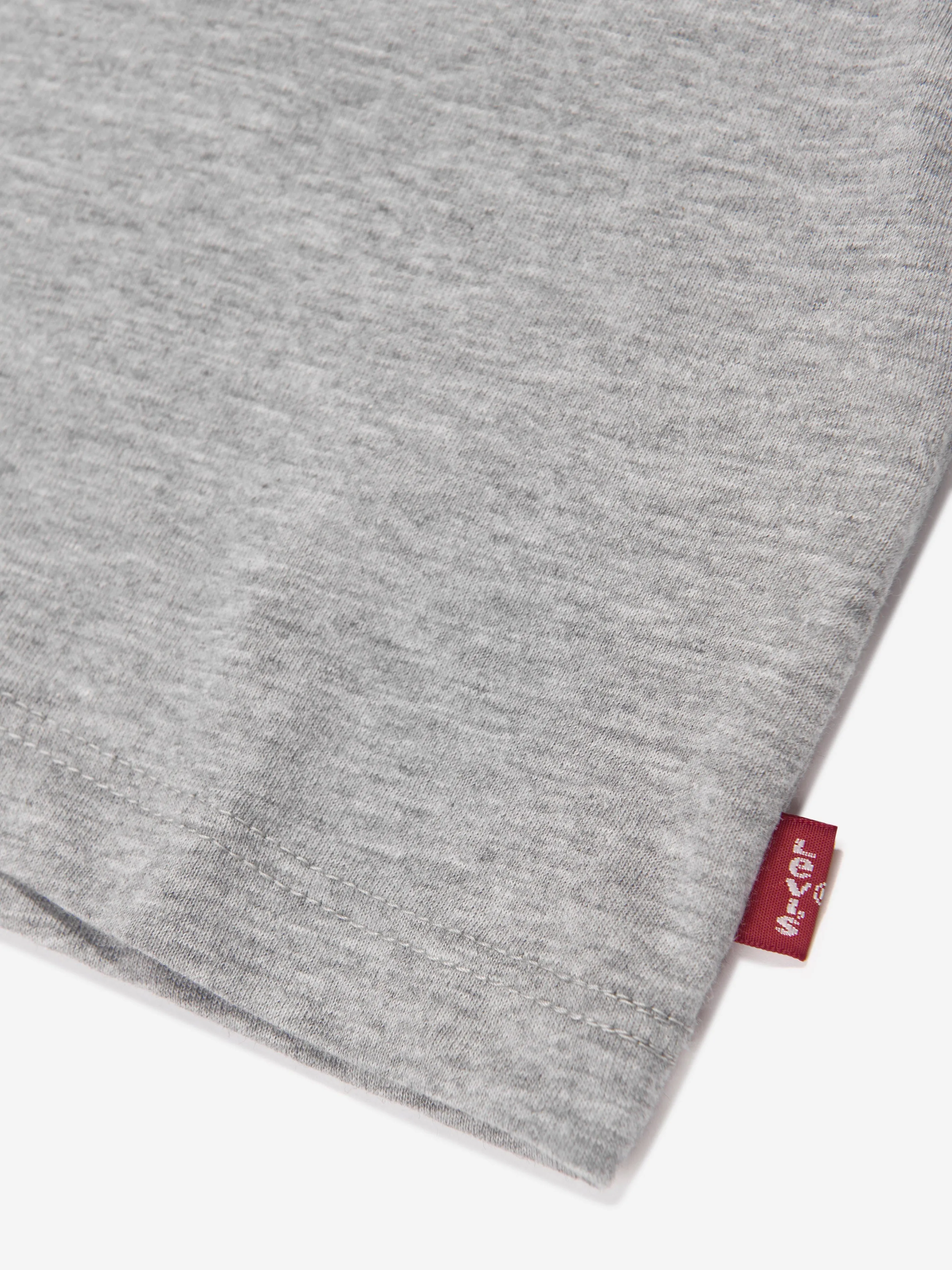 Levi's Baby Boys Batwing T-Shirt in Grey