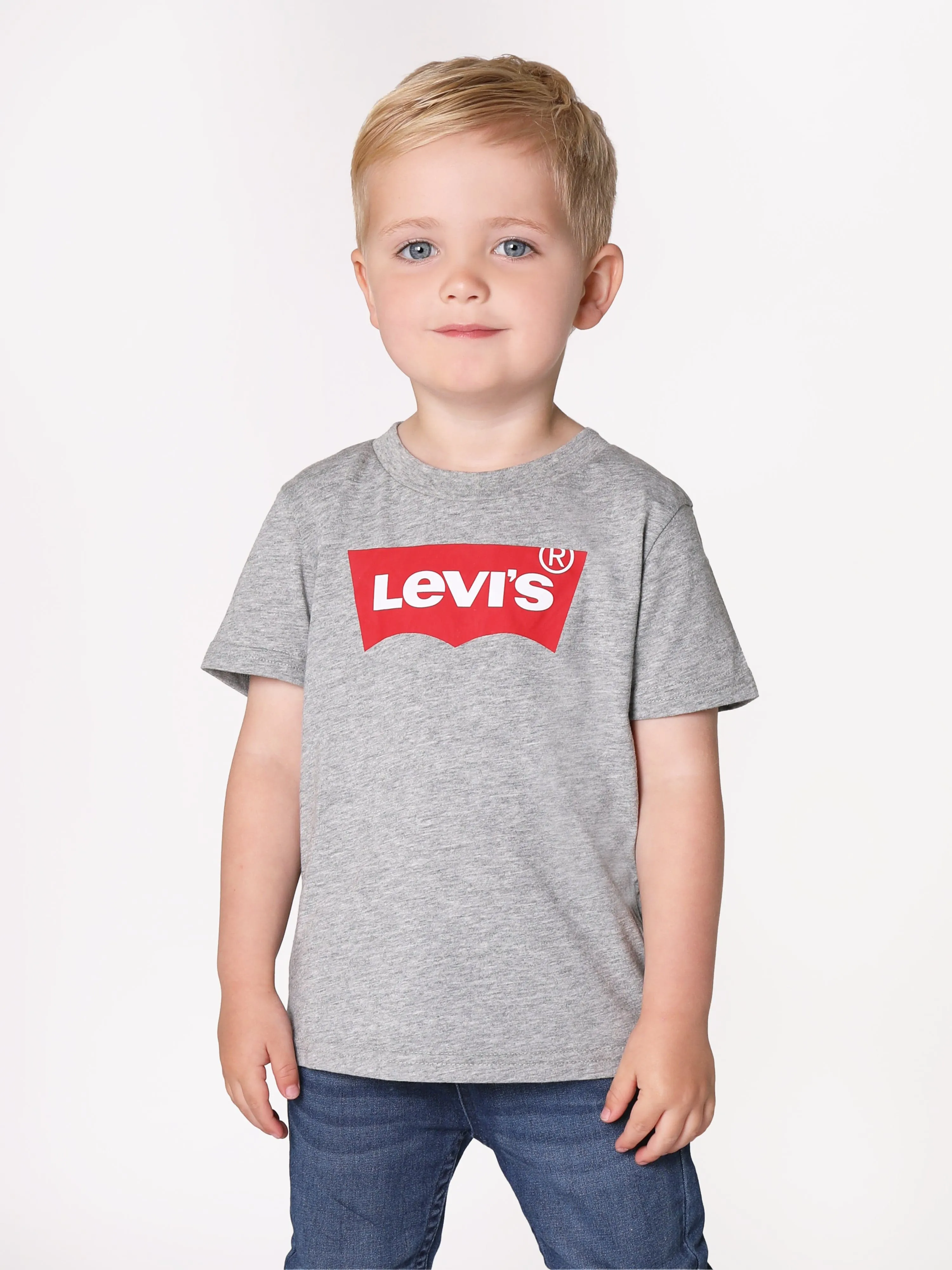 Levi's Baby Boys Batwing T-Shirt in Grey