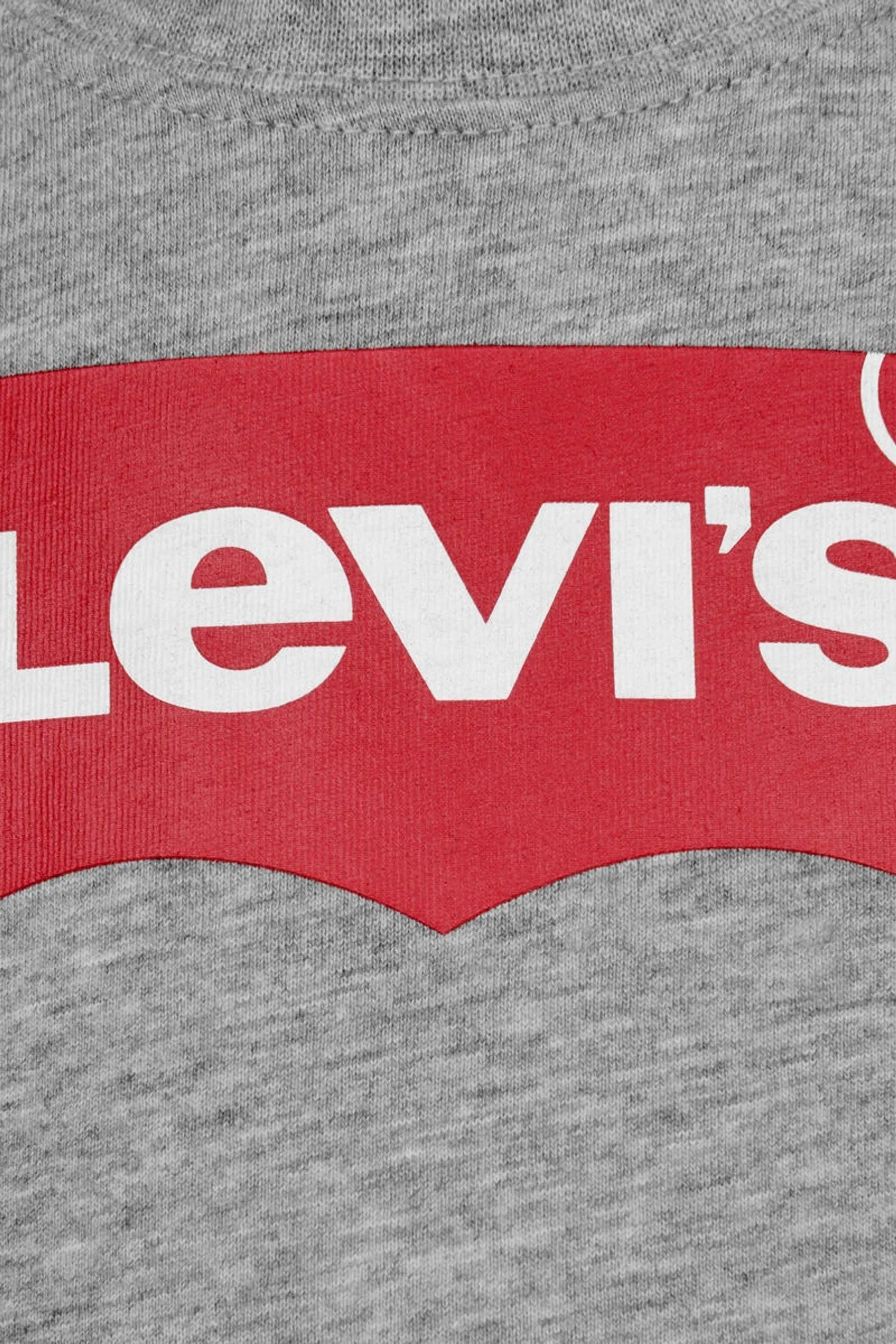 Levi's Baby Boys Batwing T-Shirt in Grey