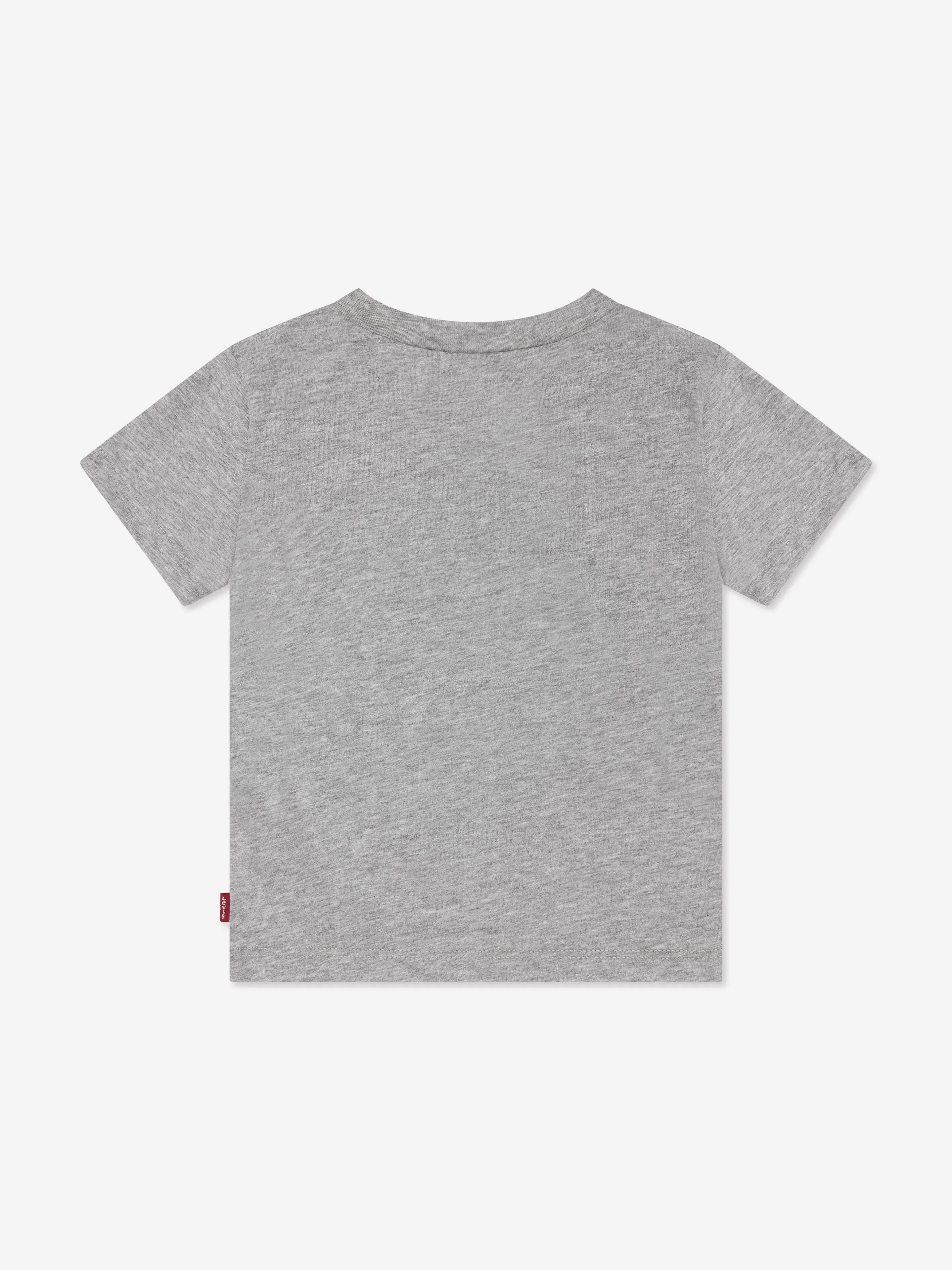 Levi's Baby Boys Batwing T-Shirt in Grey