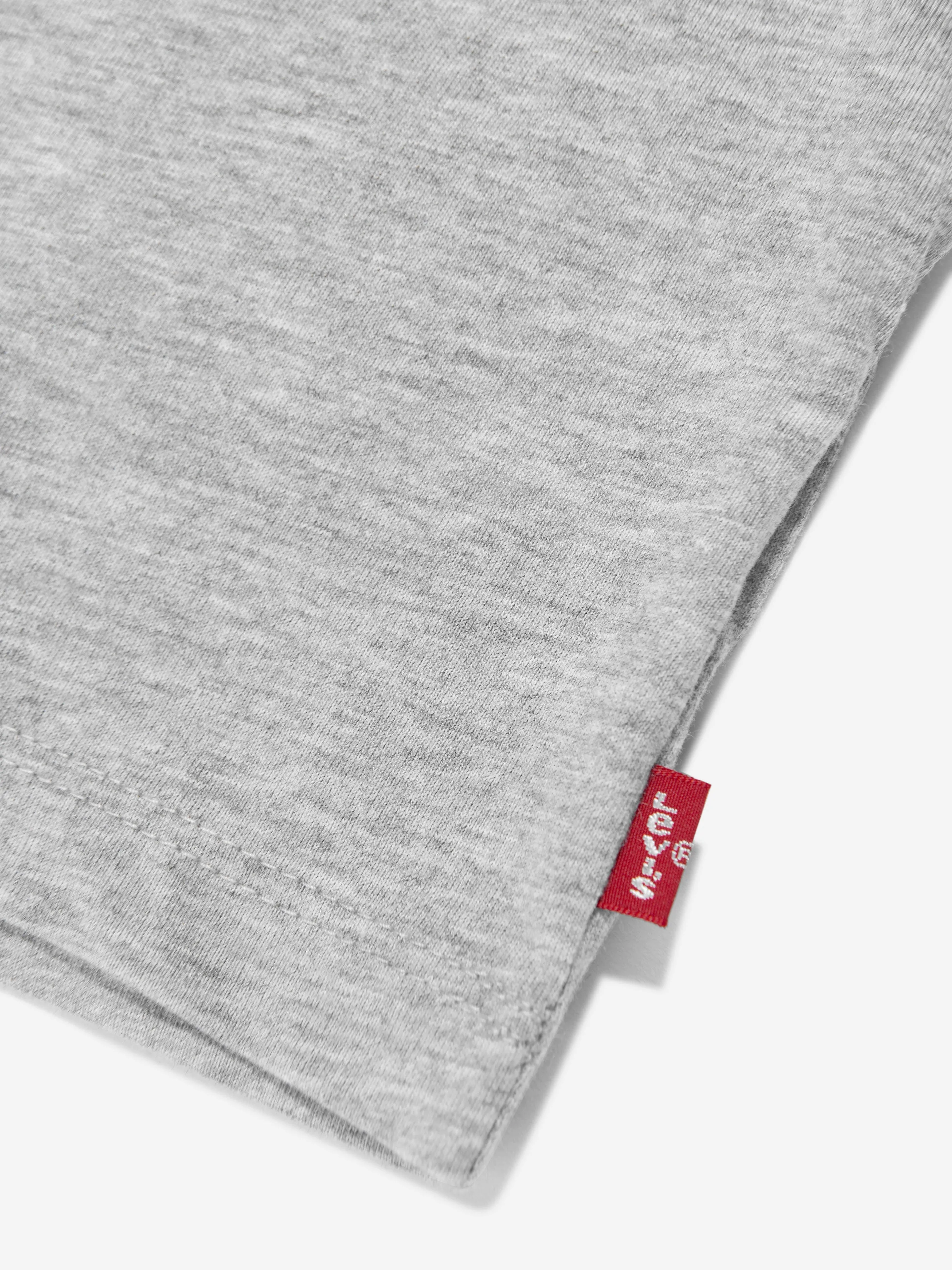 Levi's Baby Boys Batwing T-Shirt in Grey