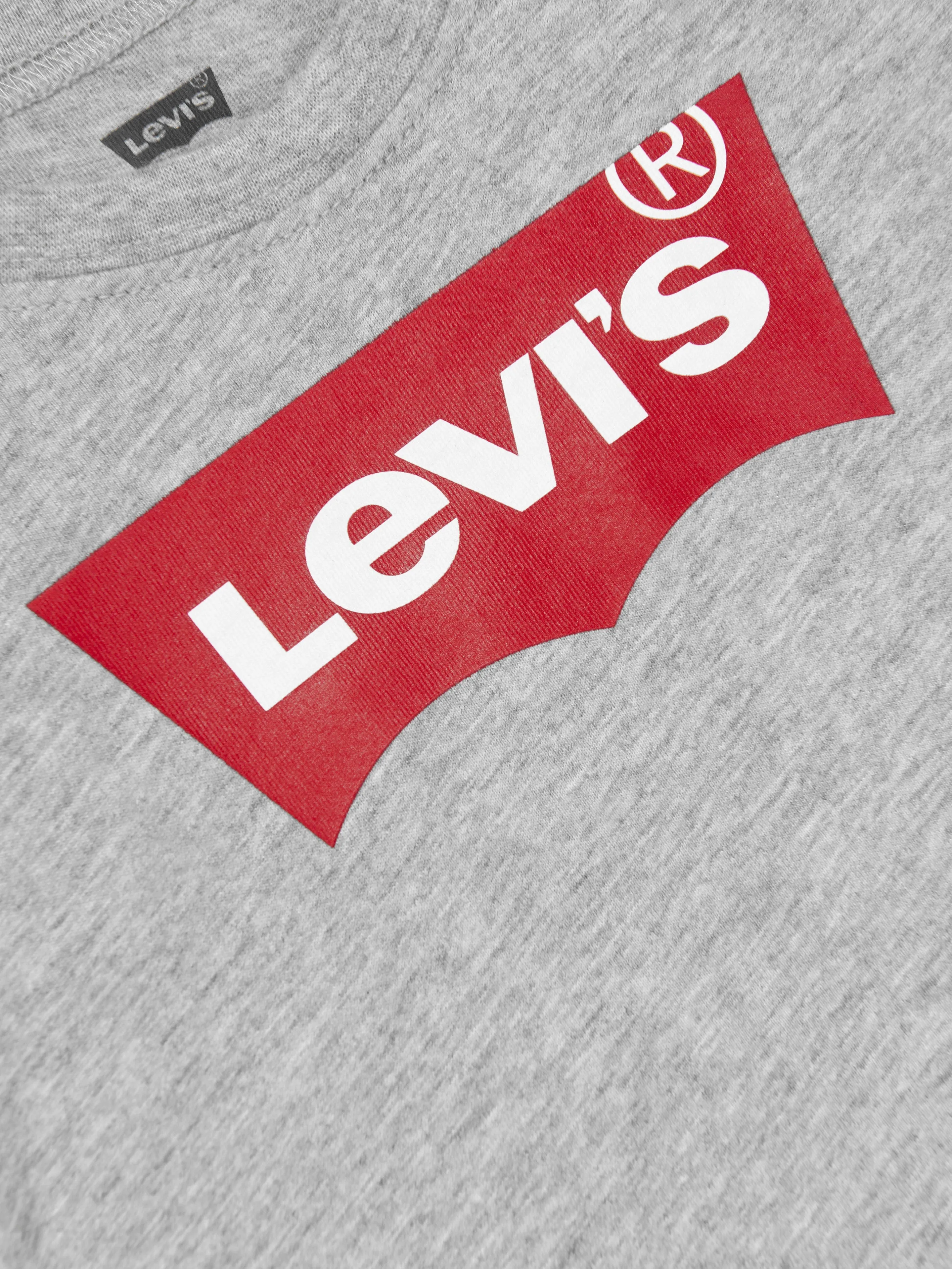 Levi's Baby Boys Batwing T-Shirt in Grey