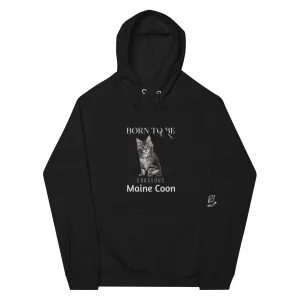 Maine Coons, Unisex raglan hoodie