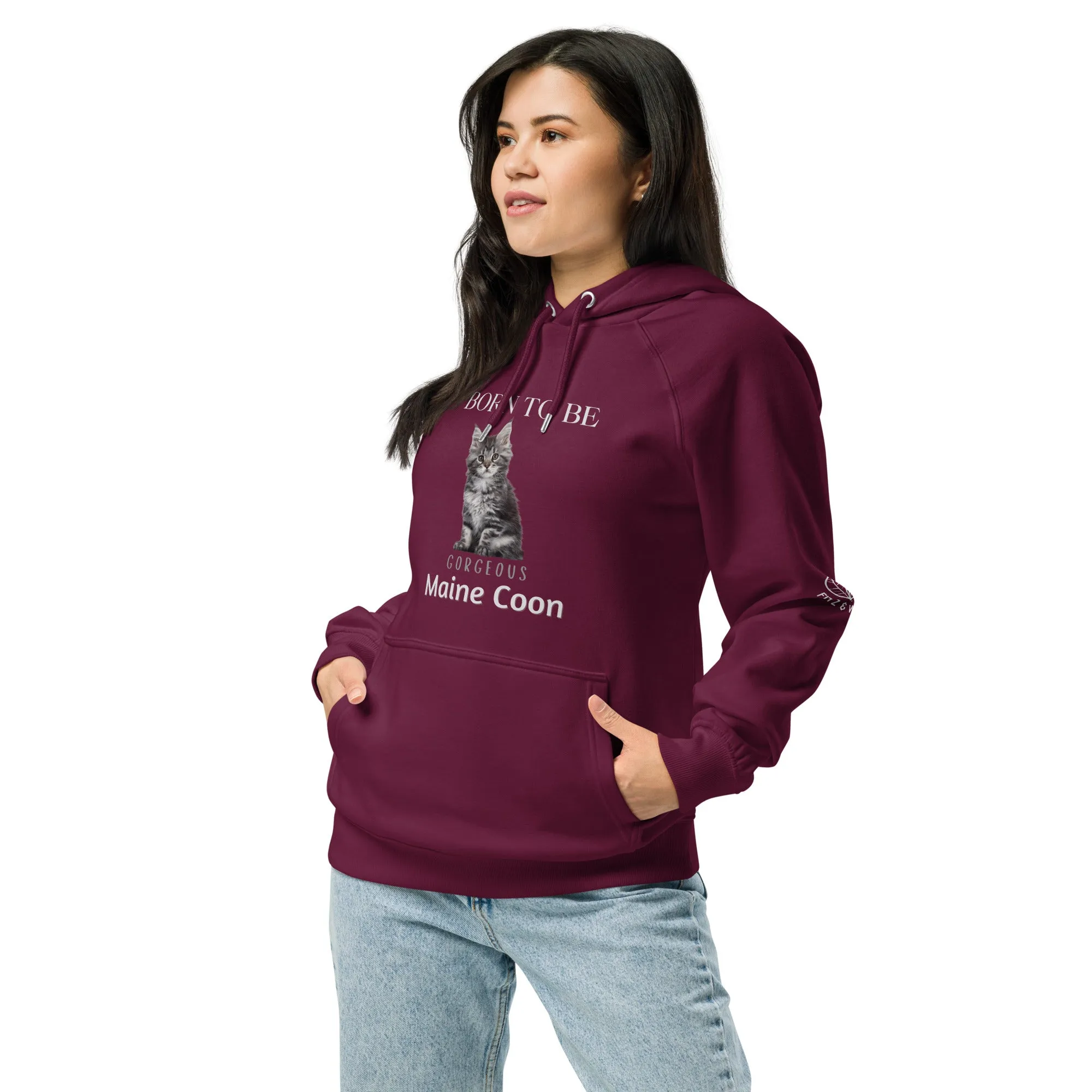 Maine Coons, Unisex raglan hoodie