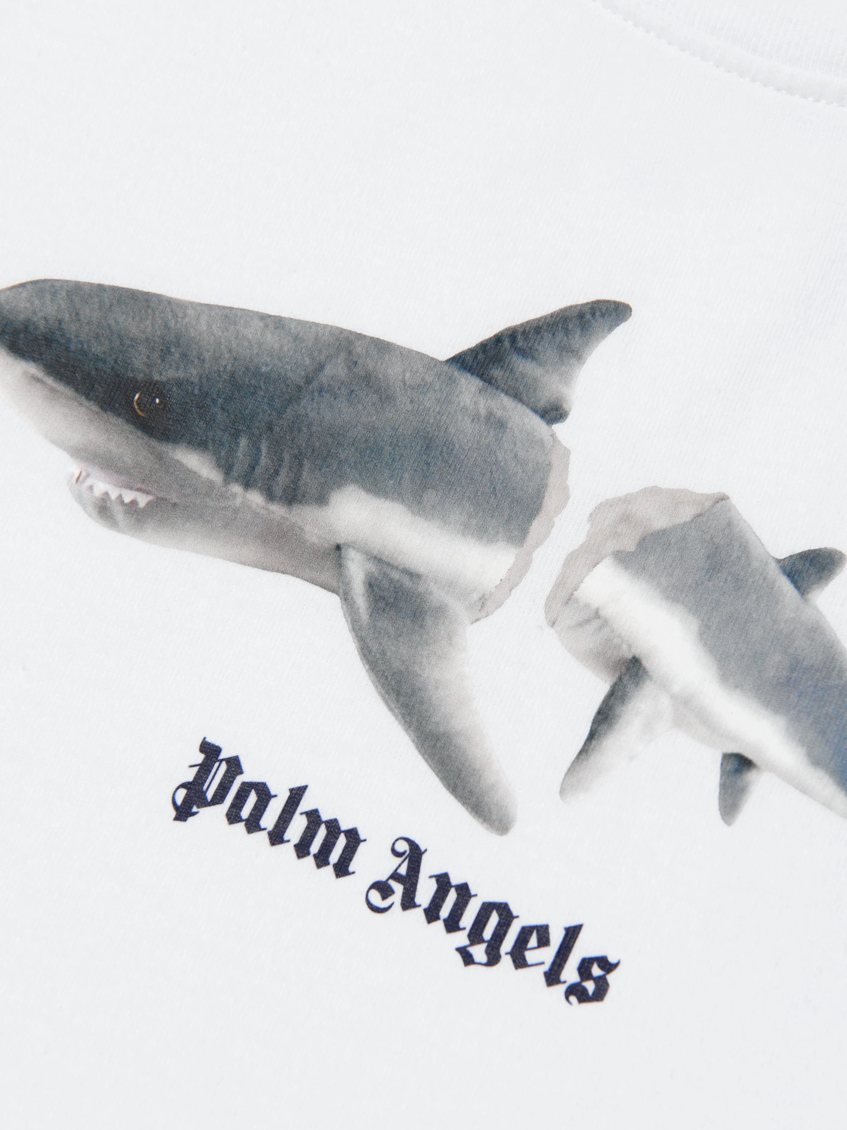 Palm Angels Boys Shark T-Shirt in White